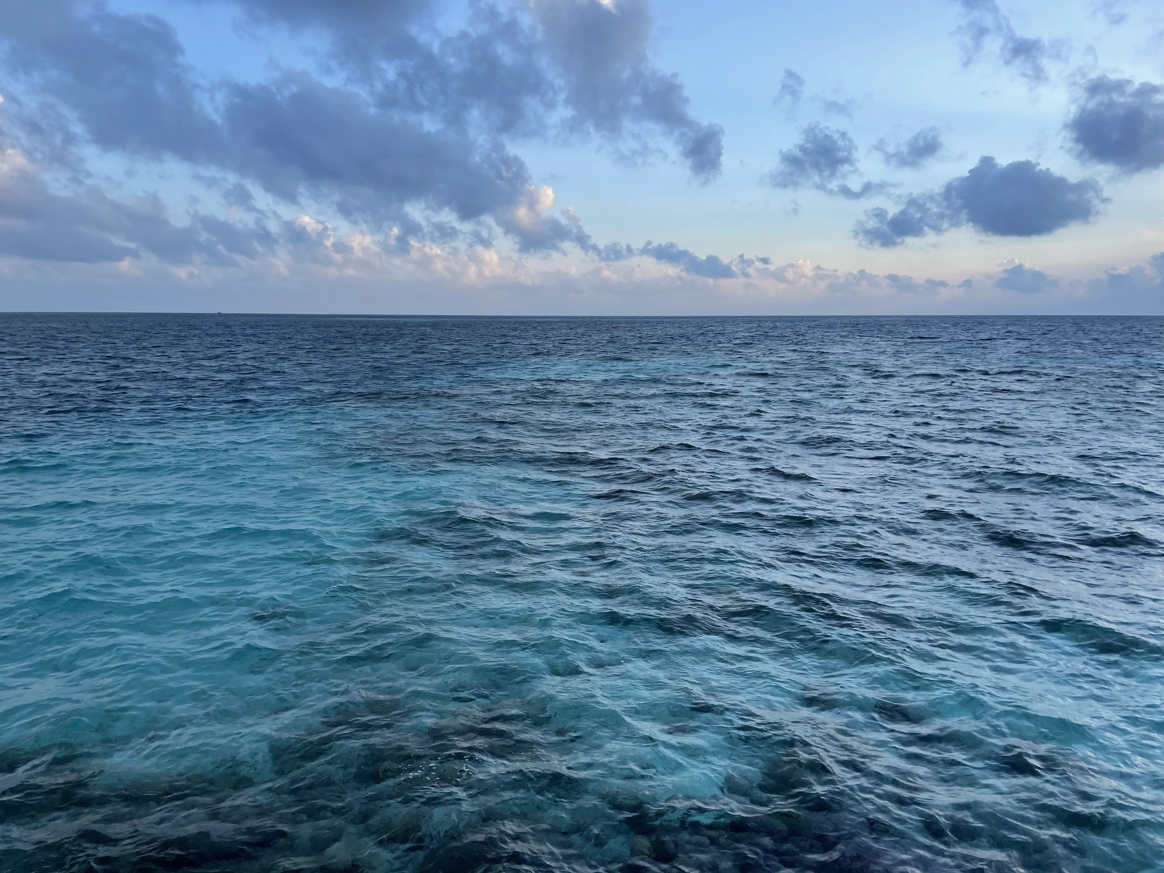 Vista ao oceano